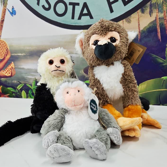 Sarasota Monkeys